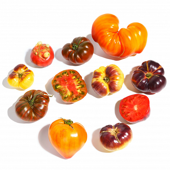 /upload/iblock/193/y7e6z6axlsfypa6yqpfivxc3glqx5o5k.jpg