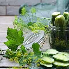 Листья смородины для засолки ~ 100 гр.